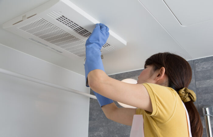 Bathroom Fan Upgrades image 2