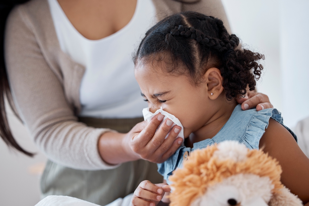 How No-Cost Weatherization Can Help You Fight Ragweed Pollen Allergies blog image 1
