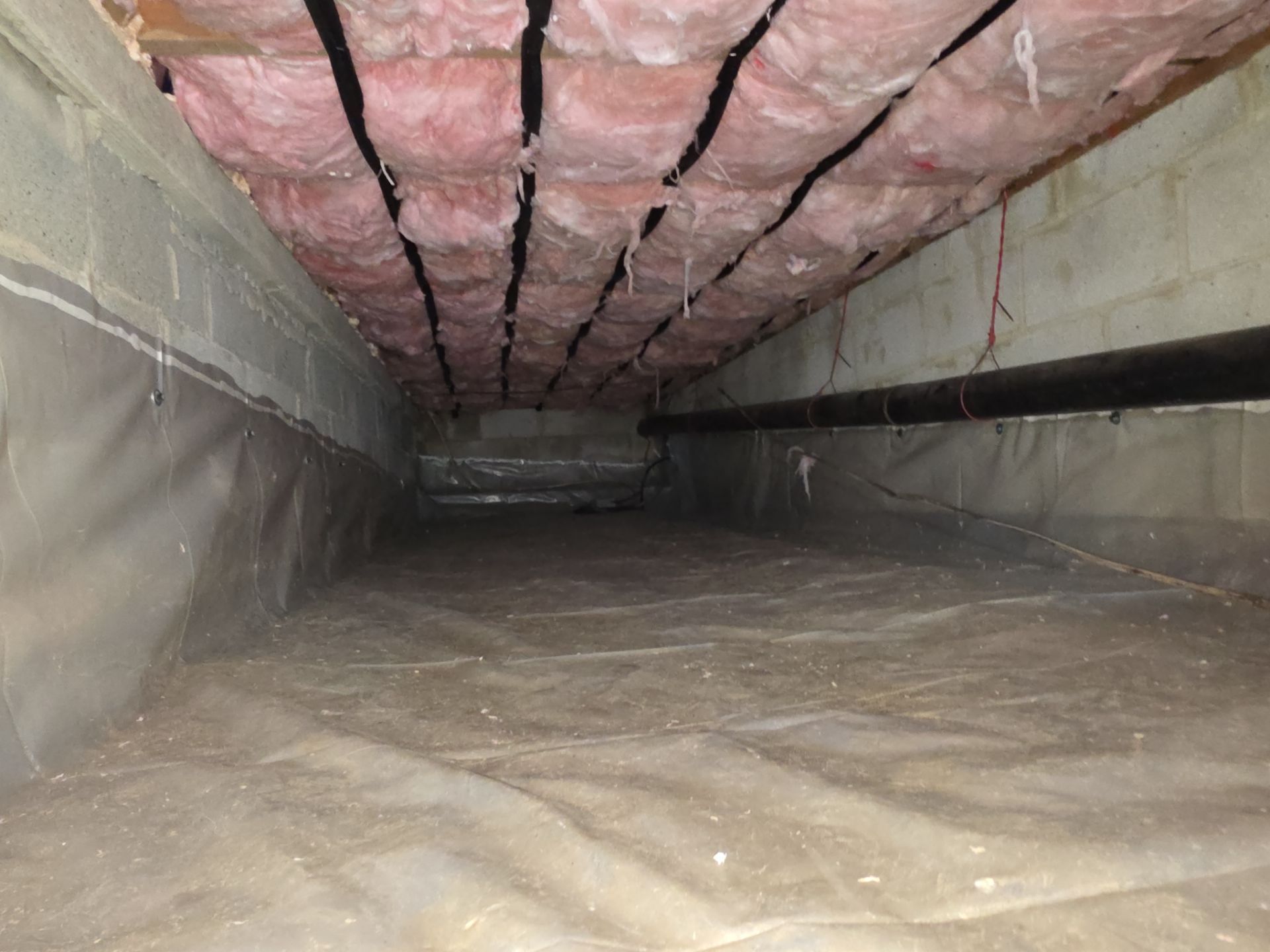 crawl space, pink insulation on the top